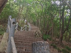 -紫金山山顶公园