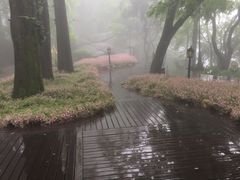 -庐山风景区花径公园