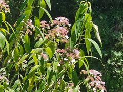 -华蓥山天意谷景区