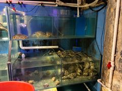 -辉记炭烧海鲜大排档·老字号(福田店)