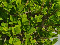 -河南省黄河迎宾馆