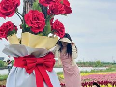 -杭州湾海上花田景区