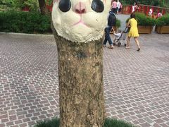 -东部华侨城