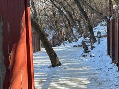-阳台山自然风景区