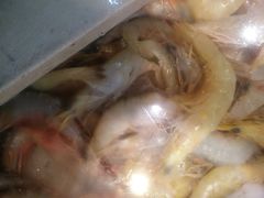 -胖大嫂渔家排档(半边山店)