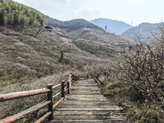 -原乡小镇度假乐园