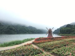 -广州市石门国家森林公园