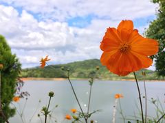 -翠屏湖景区