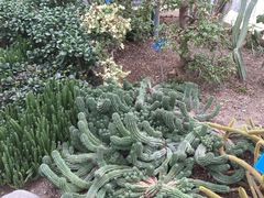 -南山植物园