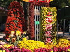 -上海共青森林公园