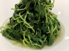 清炒豆苗-茗鼎汇(星方汇广场店)