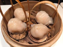 招牌虾饺皇-金鼎轩·滋养小餐馆(联想桥店)