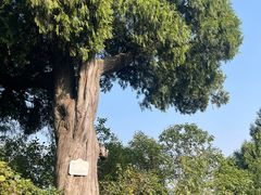 -金堂县云顶石城风景区