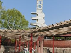 -太阳部落