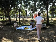 -武汉园博园(武汉自然博物馆)