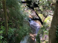 -中国大熊猫保护研究中心雅安碧峰峡基地