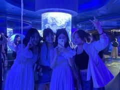 -芜湖新华联大白鲸海洋公园