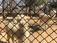 -宿豫区运河湾森林动物园