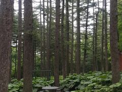 -洛阳白云山景区