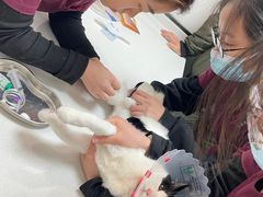 -中农大我爱我爱动物医院·核磁CT·猫病·24小时夜诊中心(石佛营店)