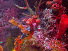 -沈阳海洋探索中心