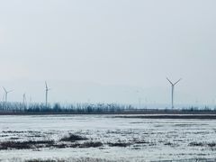 -野鸭湖国家湿地公园