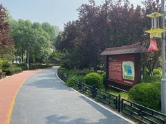 -大兴滨河森林公园