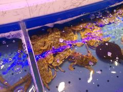 -澜悦港海鲜体验主题餐厅