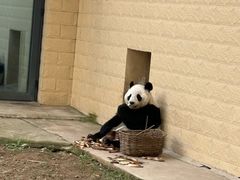 -石家庄市动物园