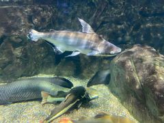 -太平洋海底世界