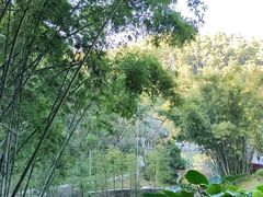 -火炉山森林公园