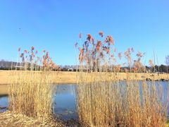 -钟山体育运动公园