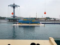 -秦皇岛乐岛海洋王国