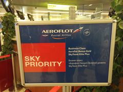 -谢列梅捷沃国际机场