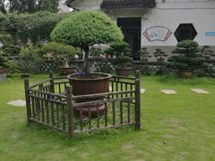 -水绘园
