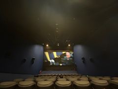 -SFC上影影城(港汇永华IMAX激光店)