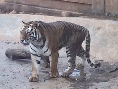 -昆明动物园
