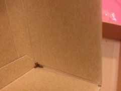 iphone_upload_pic-Babycat私家御饼屋(龙头路一店)