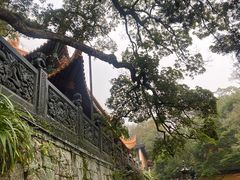 -普陀山风景名胜区-法雨禅寺