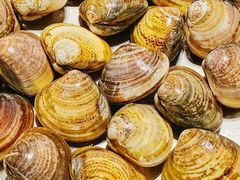 -青蓬蒸汽海鲜·深圳老字号·团建聚会(壹方城店)