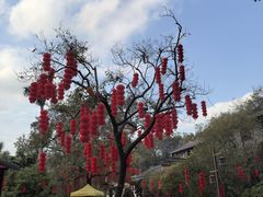 -国恩寺