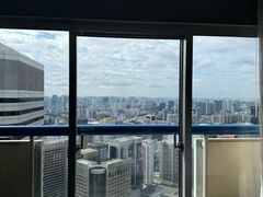 -新加坡瑞士史丹福酒店