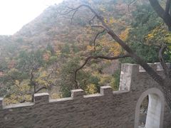 -北京鹫峰国家森林公园