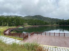-海南热带雨林国家公园吊罗山景区