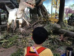 -湖南省地质博物馆