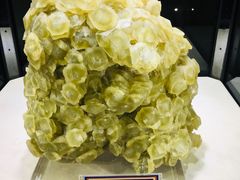 -中国地质大学逸夫博物馆