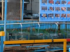 -蓝湾碧波·老字号·疍家非遗海上餐厅