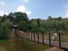 -五凤溪古镇