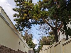 -八大关景区