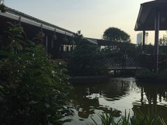 -水云居